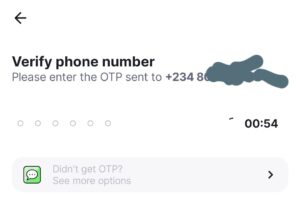 Fairmoney input number 